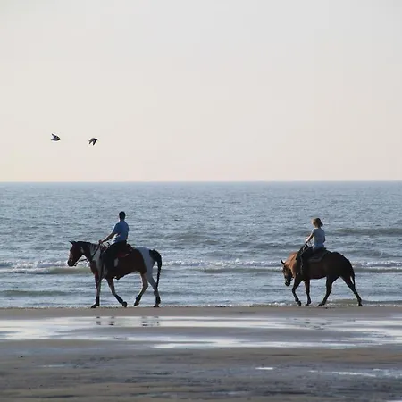 Отель Ney Нордерней