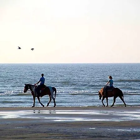 Ney Hotel Norderney